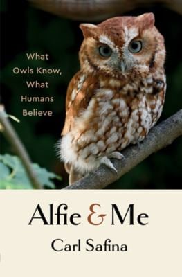 Alfie and Me : What Owls Know, What Humans Believe