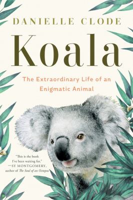 Koala : The Extraordinary Life of an Enigmatic Animal