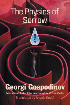 The Physics of Sorrow : A Novel