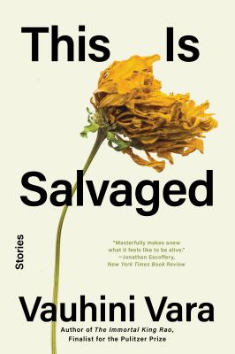 This Is Salvaged : Stories
