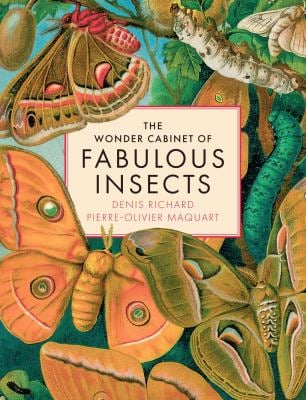 The Wonder Cabinet of Fabulous Insects : Secrets of the World's Rarest and Strangest Insects