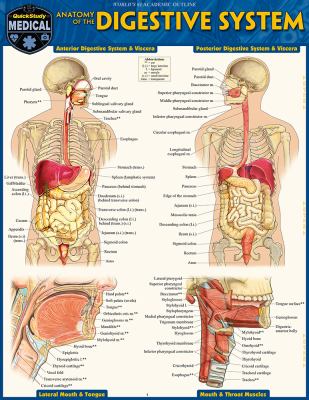 Anatomy of the Digestive System : QuickStudy Laminated Reference Guide