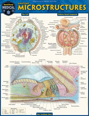 Anatomy Microstructures : A QuickStudy Laminated Reference Guide