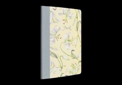ESV Prayer Journal : 30 Days on Faith (Paperback)