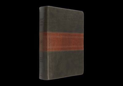 ESV Men's Study Bible (TruTone, Forest/Tan, Trail Design)