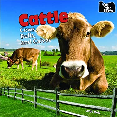 Cattle : Cows, Bulls, and Calves