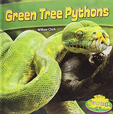 Green Tree Pythons