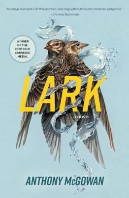 Lark : A Novel