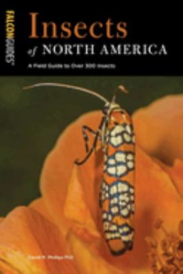 Insects of North America : A Field Guide to over 300 Insects