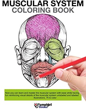 Muscular System Coloring Book : Now You Can Learn and Master the Muscular System with Ease While Having Fun