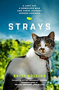 Strays : A Lost Cat, a Homeless Man, and Their Journey Across America