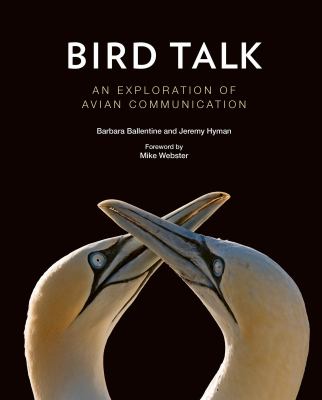 Bird Talk : An Exploration of Avian Communication