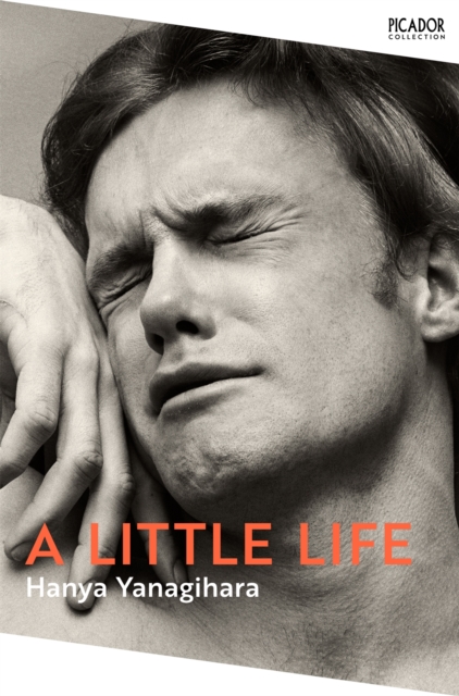 A Little Life : Tik Tok Made Me Buy It!