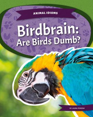 Birdbrain: Are Birds Dumb? : Are Birds Dumb?