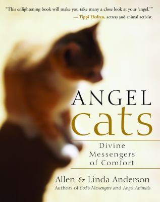 Angel Cats : Divine Messengers of Comfort