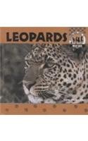 Leopards