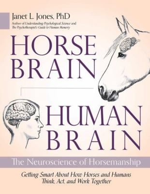 Horse Brain, Human Brain : The Neuroscience of Horsemanship