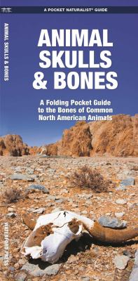 Animal Skulls and Bones