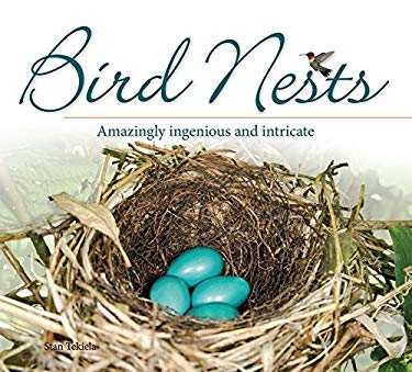 Bird Nests : Amazingly Ingenious and Intricate