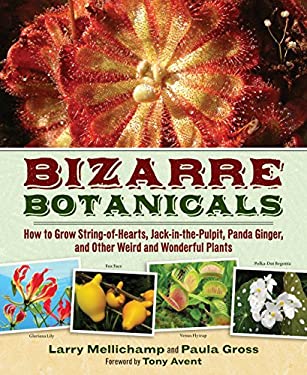 Bizarre Botanicals : How to Grow String-of-Hearts, Jack-in-the-Pulpit, Panda Ginger, and Other Weird and Wonderful Plants