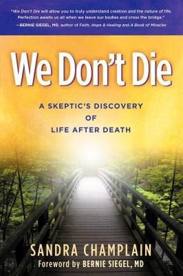 We Don't Die : A Skeptic's Discovery of Life after Death