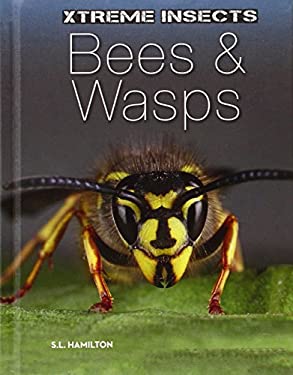 Bees and Wasps