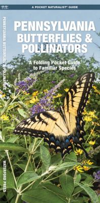 Pennsylvania Butterflies and Pollinators