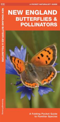 New England Butterflies and Pollinators