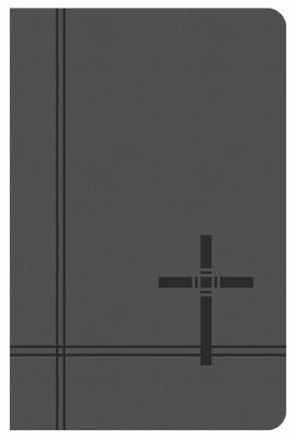 KJV Deluxe Gift and Award Bible [Gray]