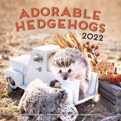 Adorable Hedgehogs 2022 : 16-Month Calendar - September 2021 Through December 2022