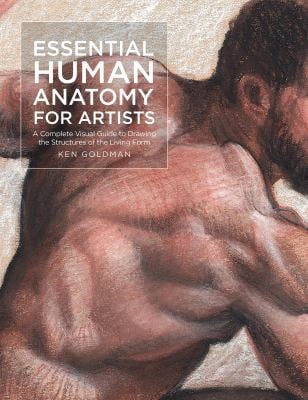 Essential Human Anatomy for Artists : A Complete Visual Guide to Drawing the Structures of the Living Form