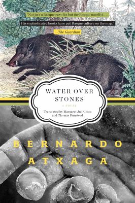 Water over Stones : A Novel