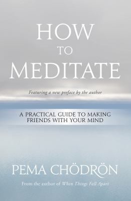 How to Meditate : A Practical Guide to Making Friends with Your Mind