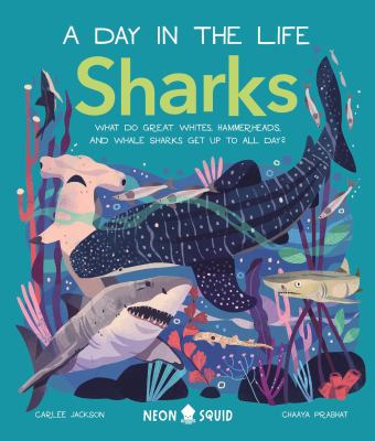 Sharks (a Day in the Life) : What Do Great Whites, Hammerheads, and Whale Sharks Get up to All Day?