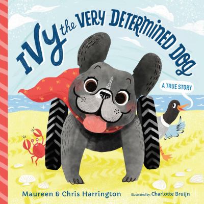 Ivy the Very Determined Dog : A True Story