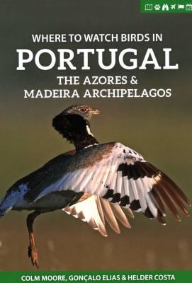 Where to Watch Birds in Portugal, the Azores and Madeira Archipelagos