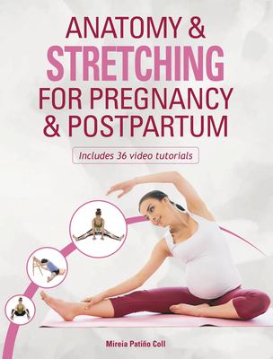 Anatomy and Stretching for Pregnancy and Postpartum