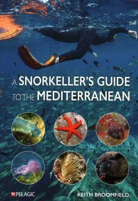 A Snorkeller's Guide to the Mediterranean