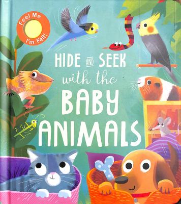 Hide and Seek with the Baby Animals