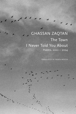 The Town I Never Told You About : Poems, 2022-2024