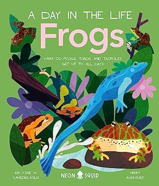 Frogs (a Day in the Life) : What Do Frogs, Toads, and Tadpoles Get up to All Day?
