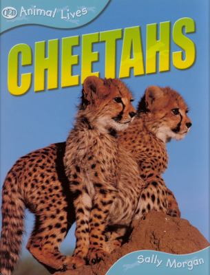 Animal Lives : Cheetahs