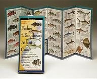 Fishes of the Southeast Atlantic Coast