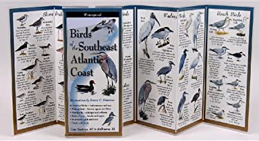 Birds of the Southeast Atlantic Coast