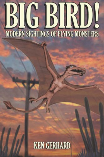 Big Bird Modern Sightings of Flying Mon