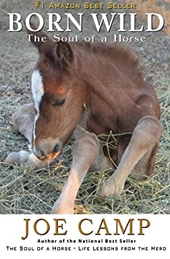 Born Wild - the Soul of a Horse