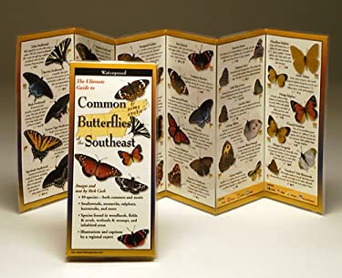 Common and some exotic Butterflies of the Southeast