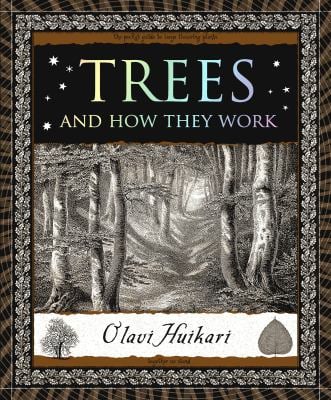 Trees and How They Work