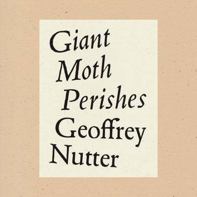 Giant Moth Perishes