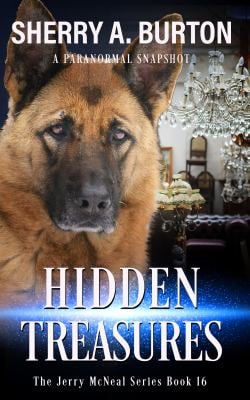 Hidden Treasures : Join Jerry Mcneal and His Ghostly K-9 Partner As They Put Their Gifts to Good Use